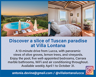 Antonia devine 2 (2) (1) (1) 0x0 0 0 313